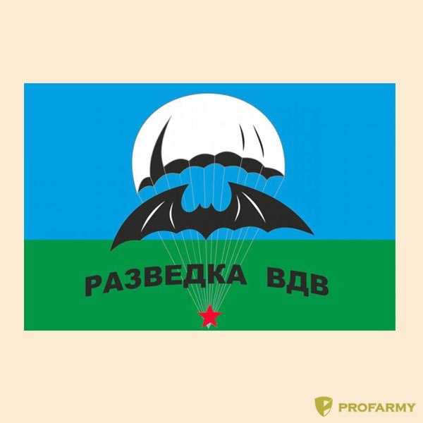 Вдв фото разведка