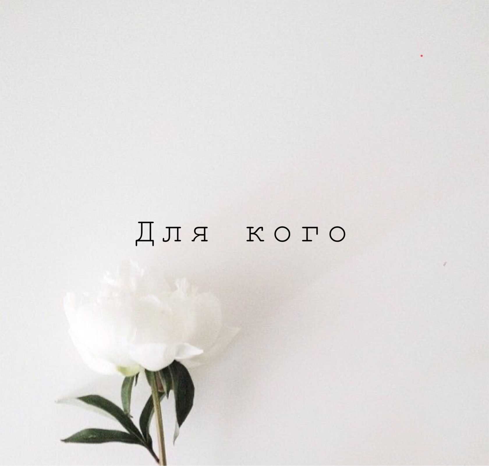 Красно-белые обои, минимализм, цифровое искусство, просто, hd обои