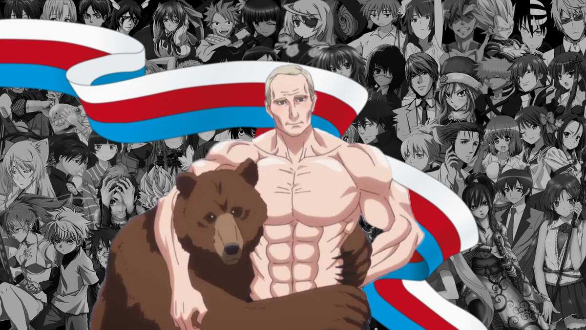 Владимир путин 4к скачать hd для рабочего стола, hd обои | wallpaperbetter