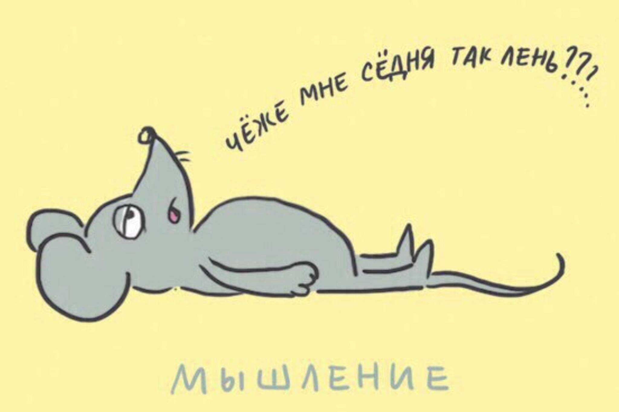 Мне все лень я пельмень обои на телефон