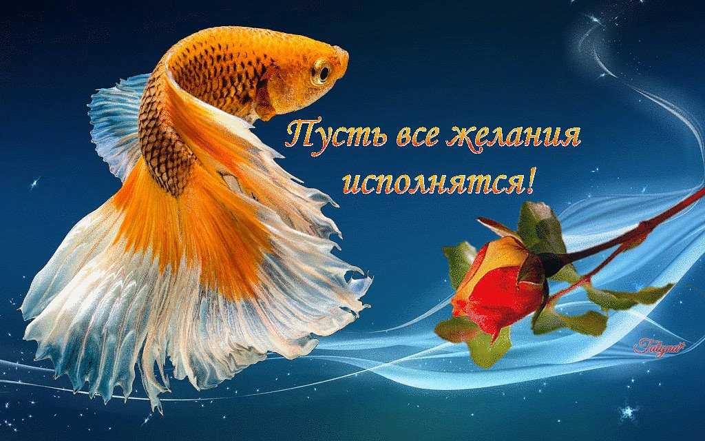 Исполнения желаний картинка #831615 - картинки исполнения желаний (50 лучших фото) - скачать