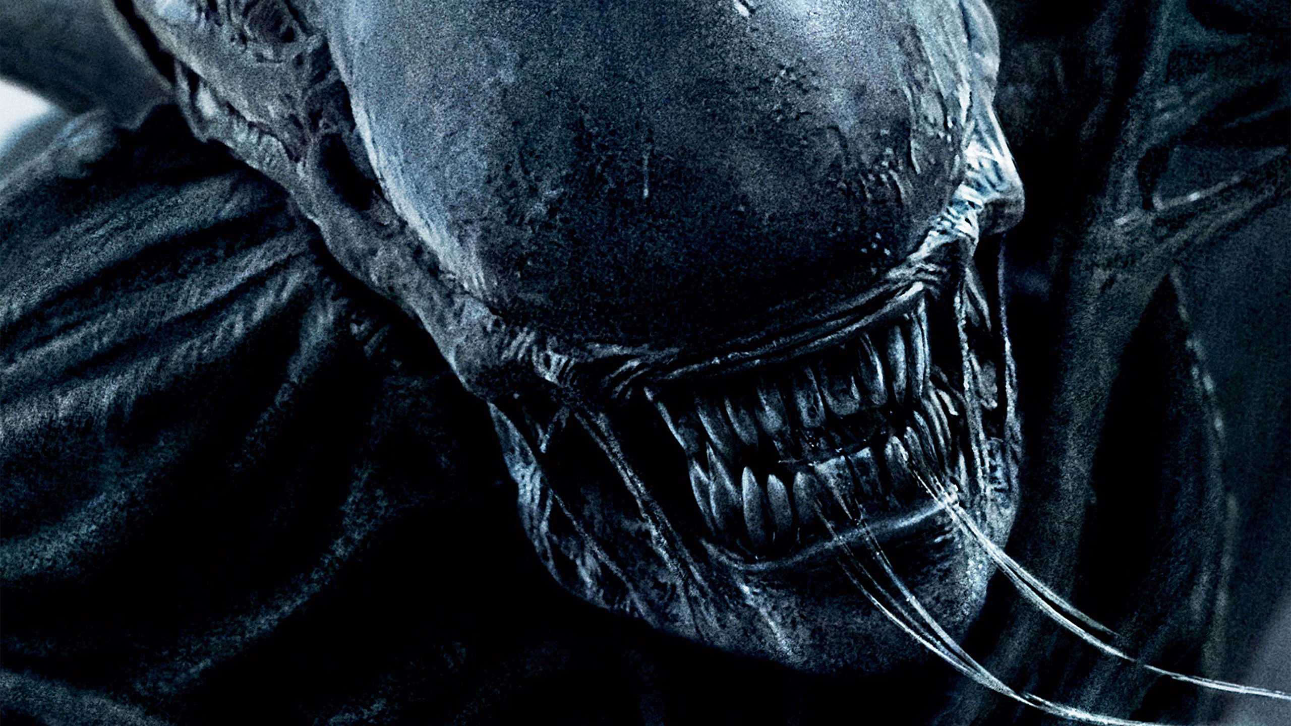 Чужие обои, чужие, hd обои | wallpaperbetter
