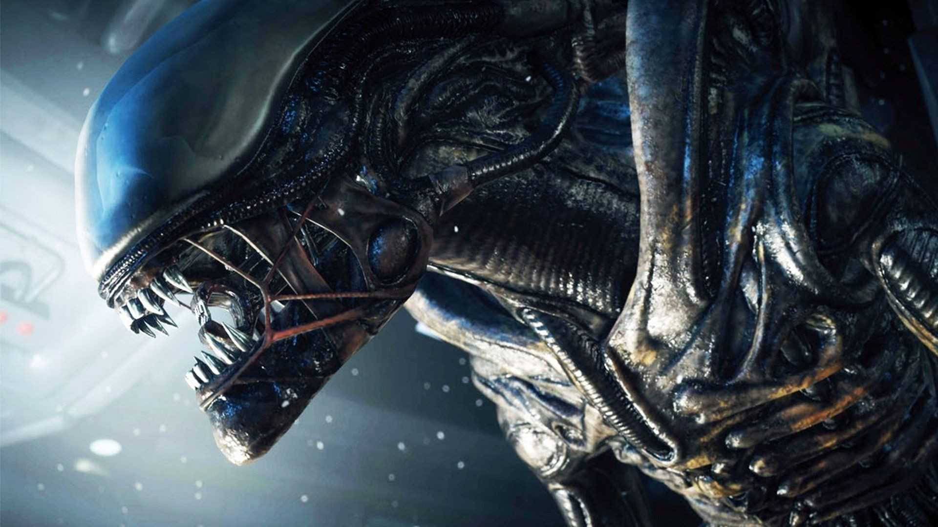 8k, 4k, чужой: завет, hd обои | wallpaperbetter