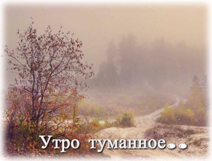 Текст доброе утро туманное. Утро туманное утро седое. Утро туманное Тургенев. Стихотворение утро туманное утро седое Тургенев. Доброе туманное утро открытки.