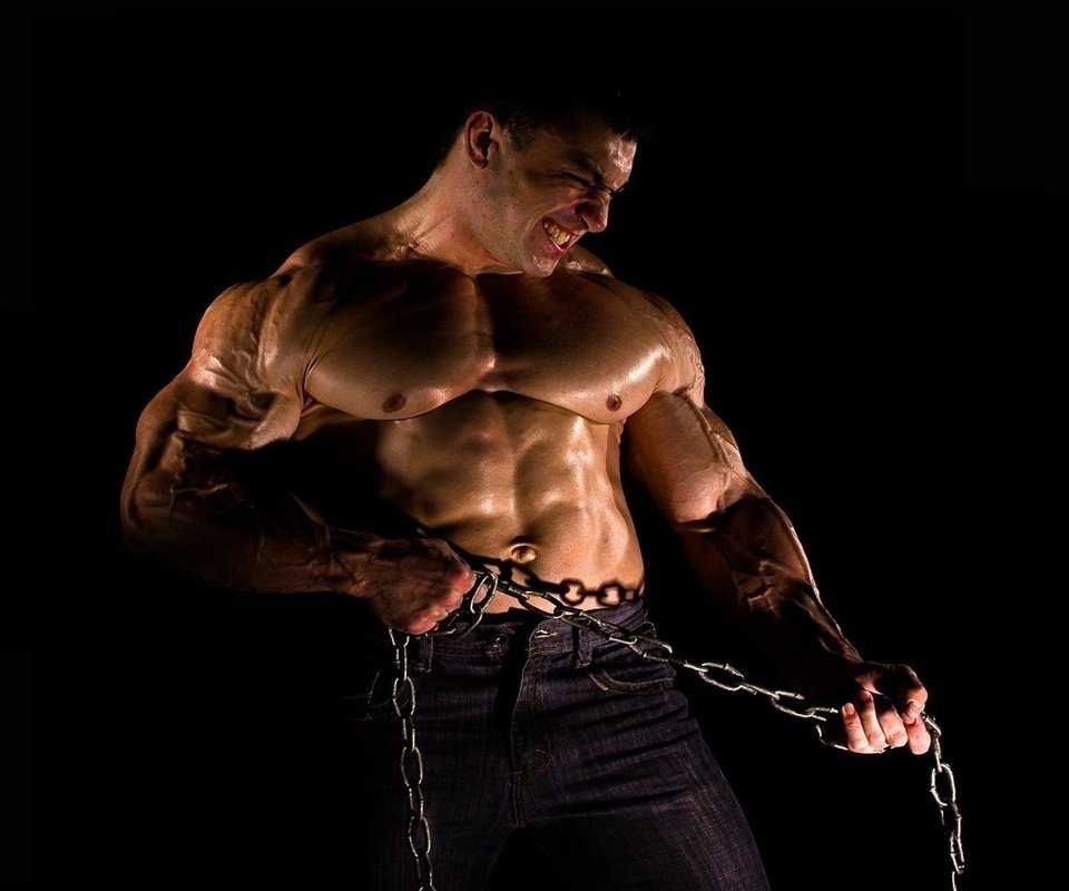 Ifbb изменения в обязательных позах позирования для соревнований.