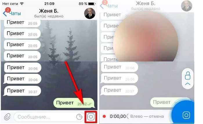 Кружочки в телеграмме. Видеосообщение в телеграмме в кружочке. Видео в кружке в телеграмме. Телеграмм зеленый кружок.