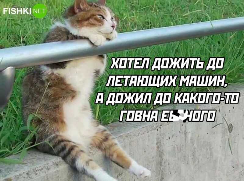Русский язык картинка #442611 - картинки с надписью я люблю русский язык (47 фото) » юмор, позитив и много  смешных картинок - скачать