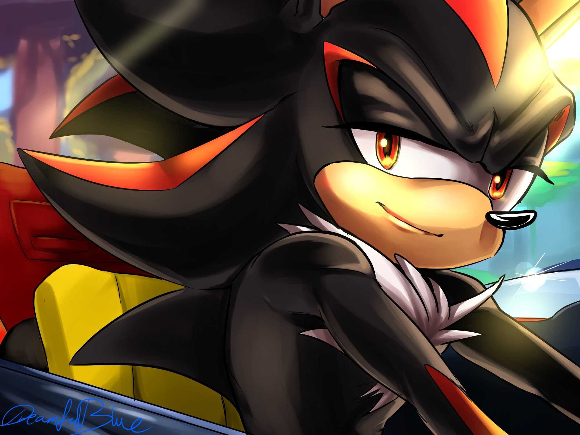 Shadow the hedgehog