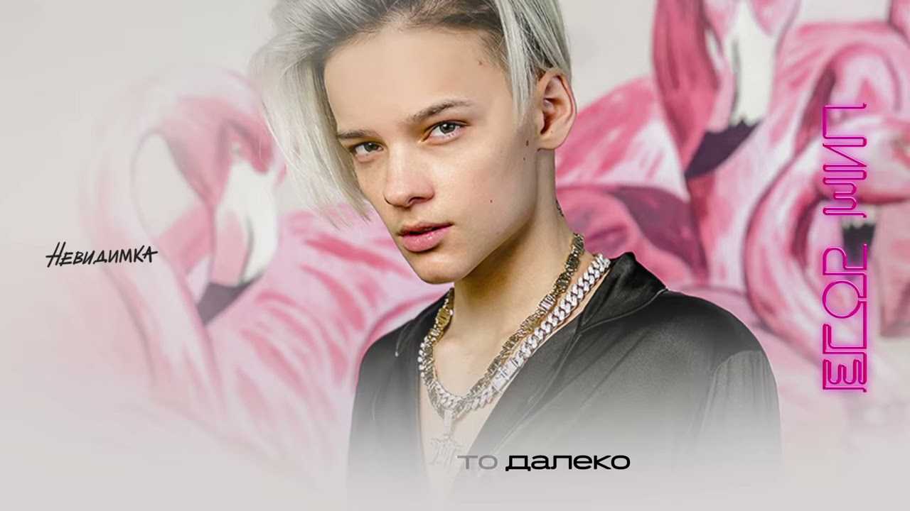 Обои с егором шипом на компьютер