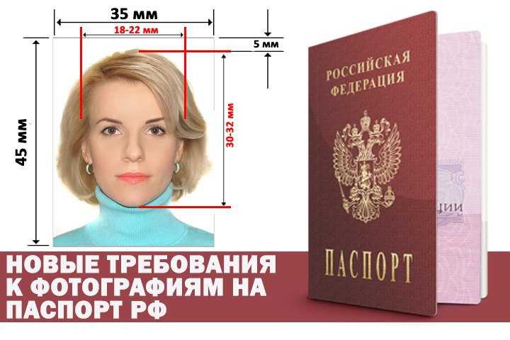 Топ-12 лучших бюджетных идей фотофонов для фото