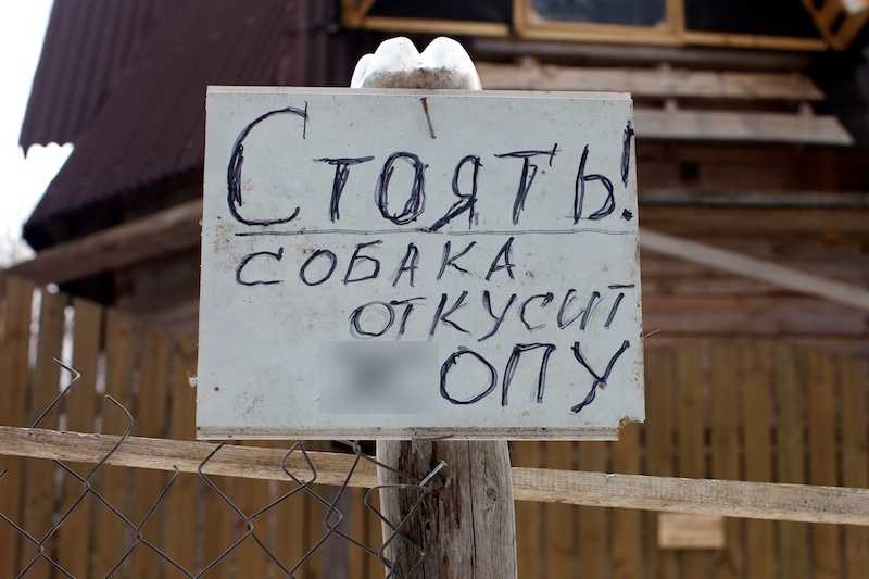 Русский язык картинка #442611