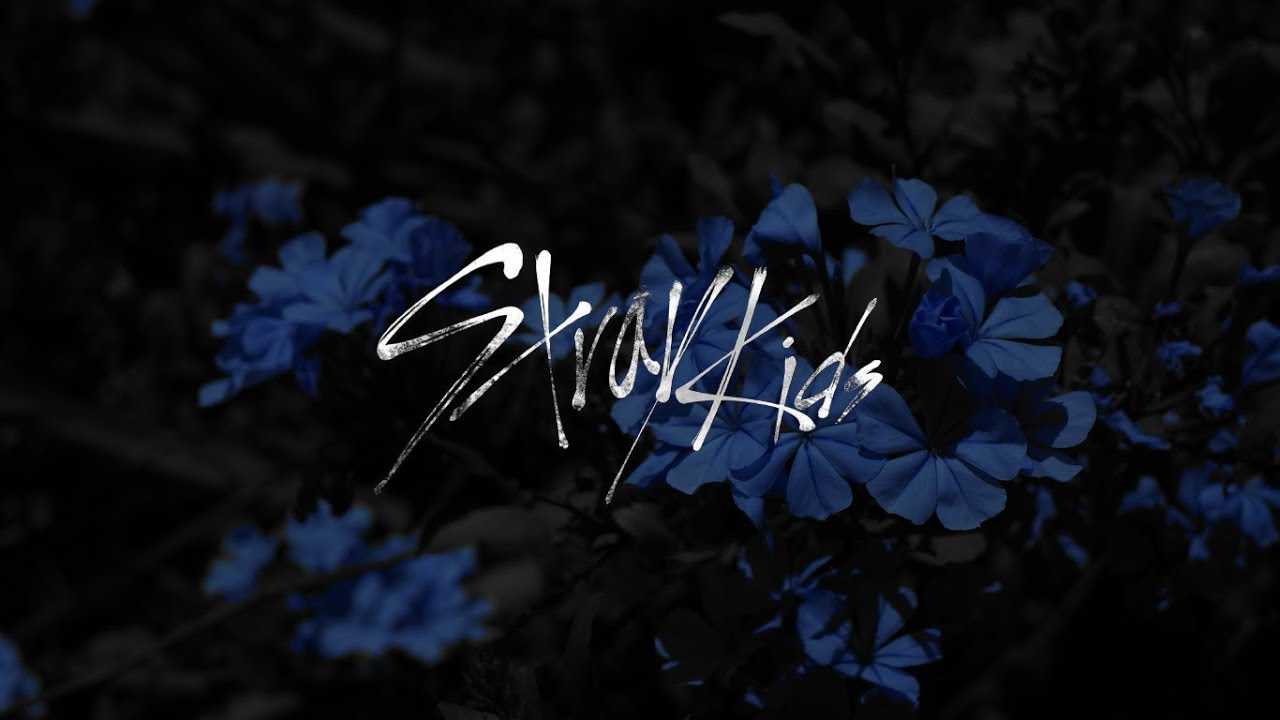 Stray kids: состав и биографии участников, последние новости и дискография