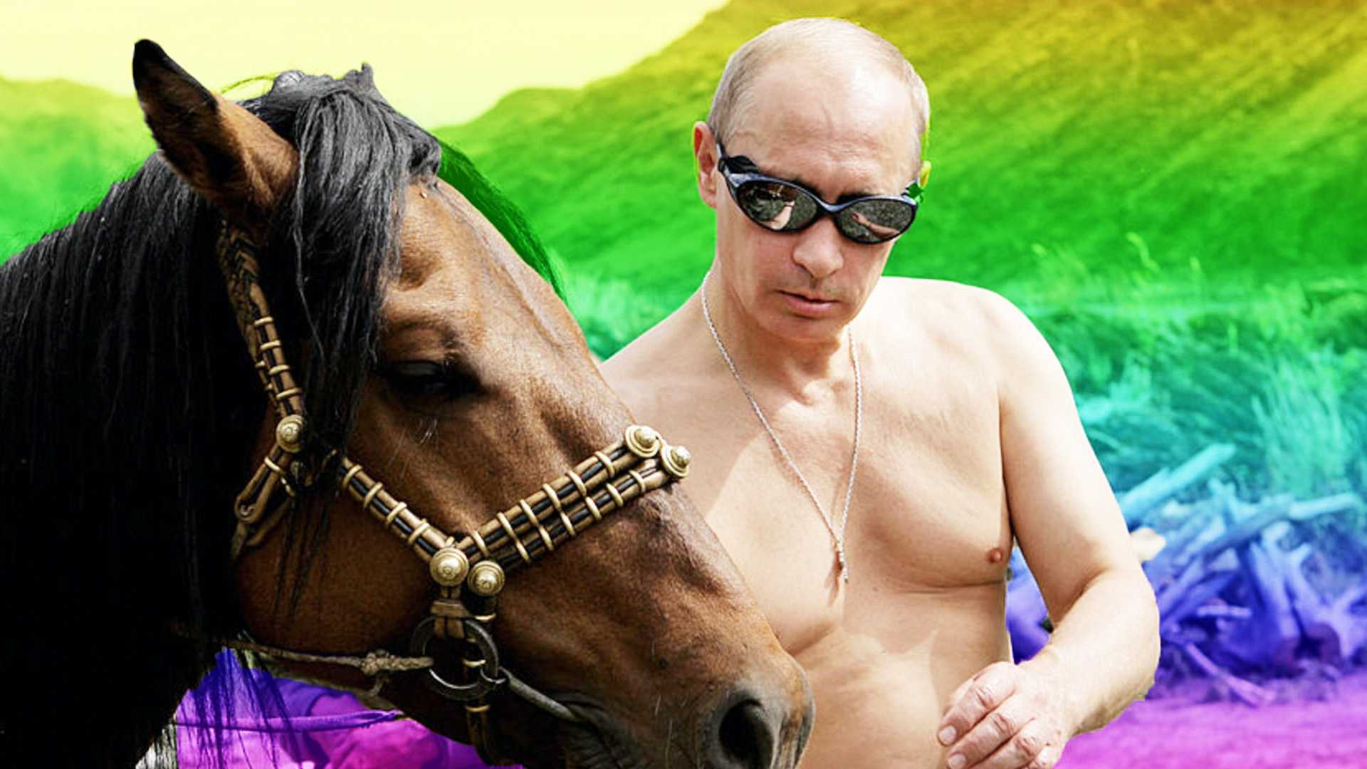 Hd wallpaper: man, men, president, putin, russia, russian, vladimir