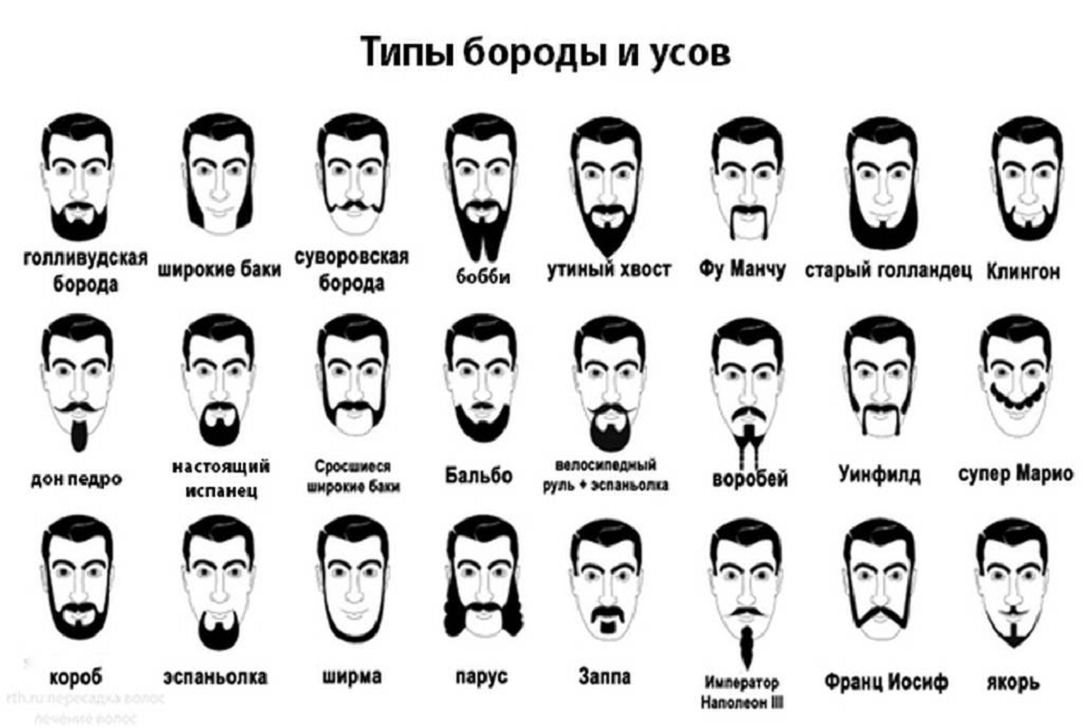 Борода мужчина, борода, люди, логотип png