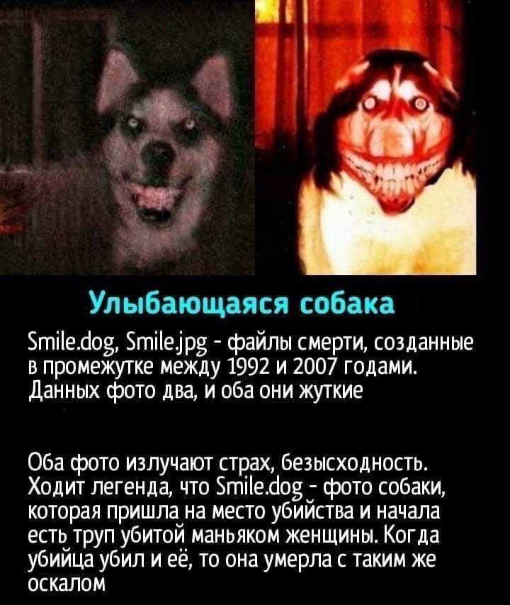 Smile.jpg | creepypasta вики | fandom