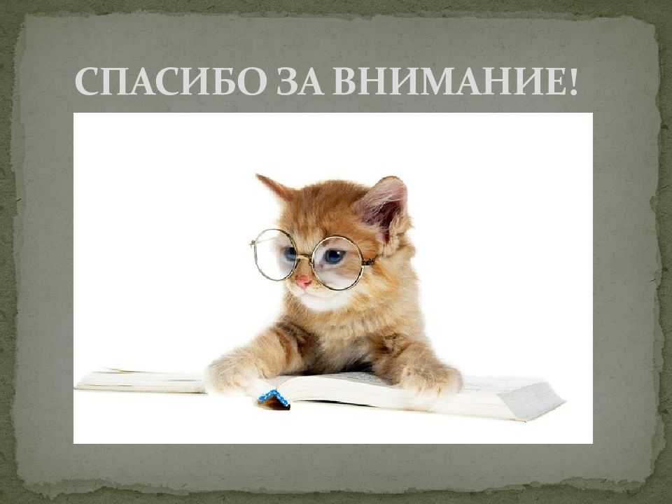 Шуточные грамоты: почетные, похвальные, прикольные, смешные, для награждения сотрудников, на свадьбу, юбилей, день рождения, шаблоны дипломов с текстом + фото - женская жизньженская жизнь