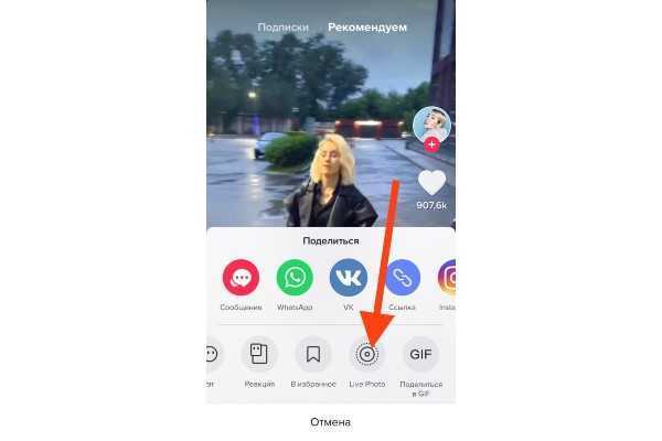 Как скачать тик ток фото и установить живые обои на ios и android