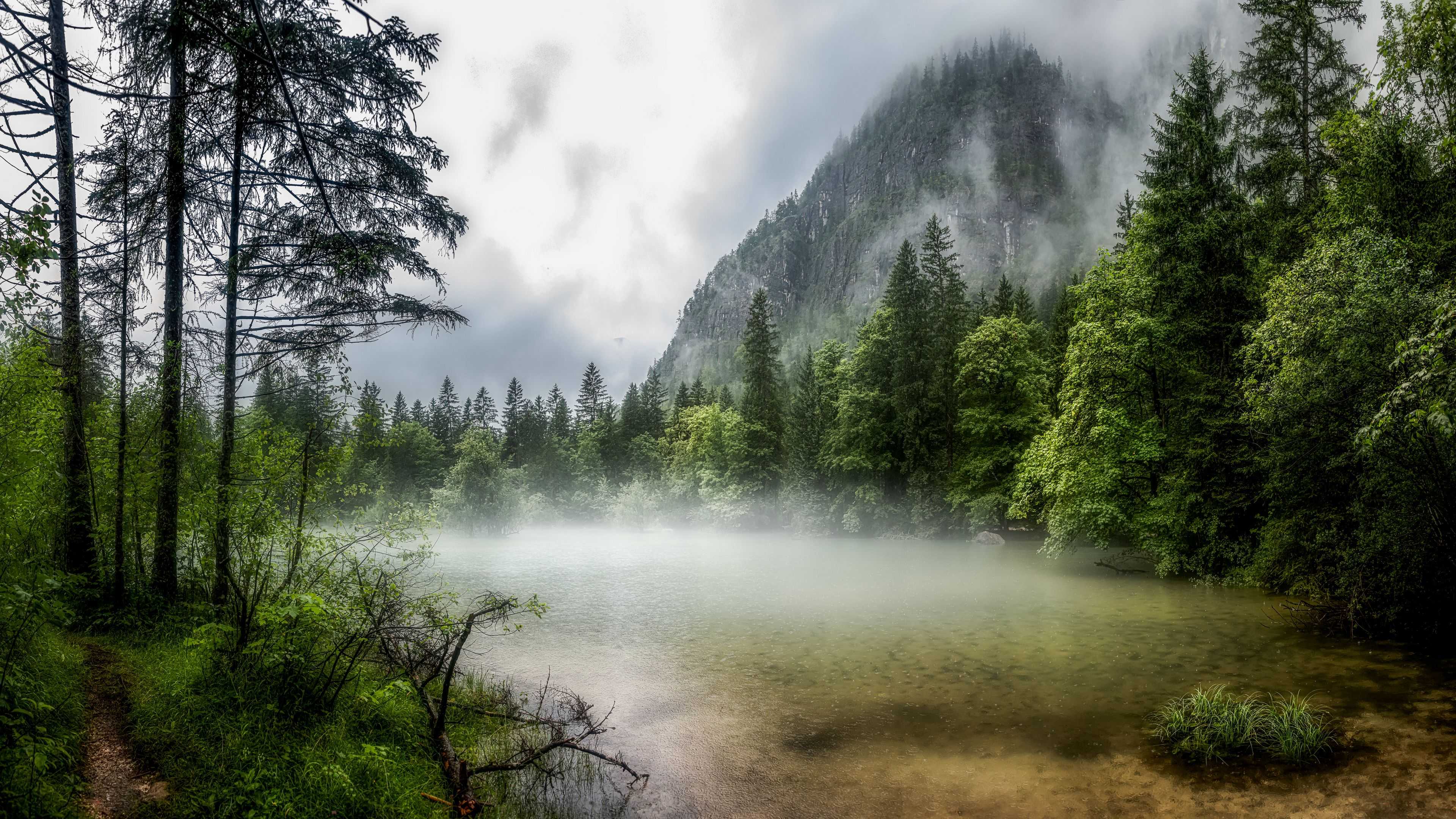 38 stunning dynamic island wallpapers for iphone 14 pro - ymwc