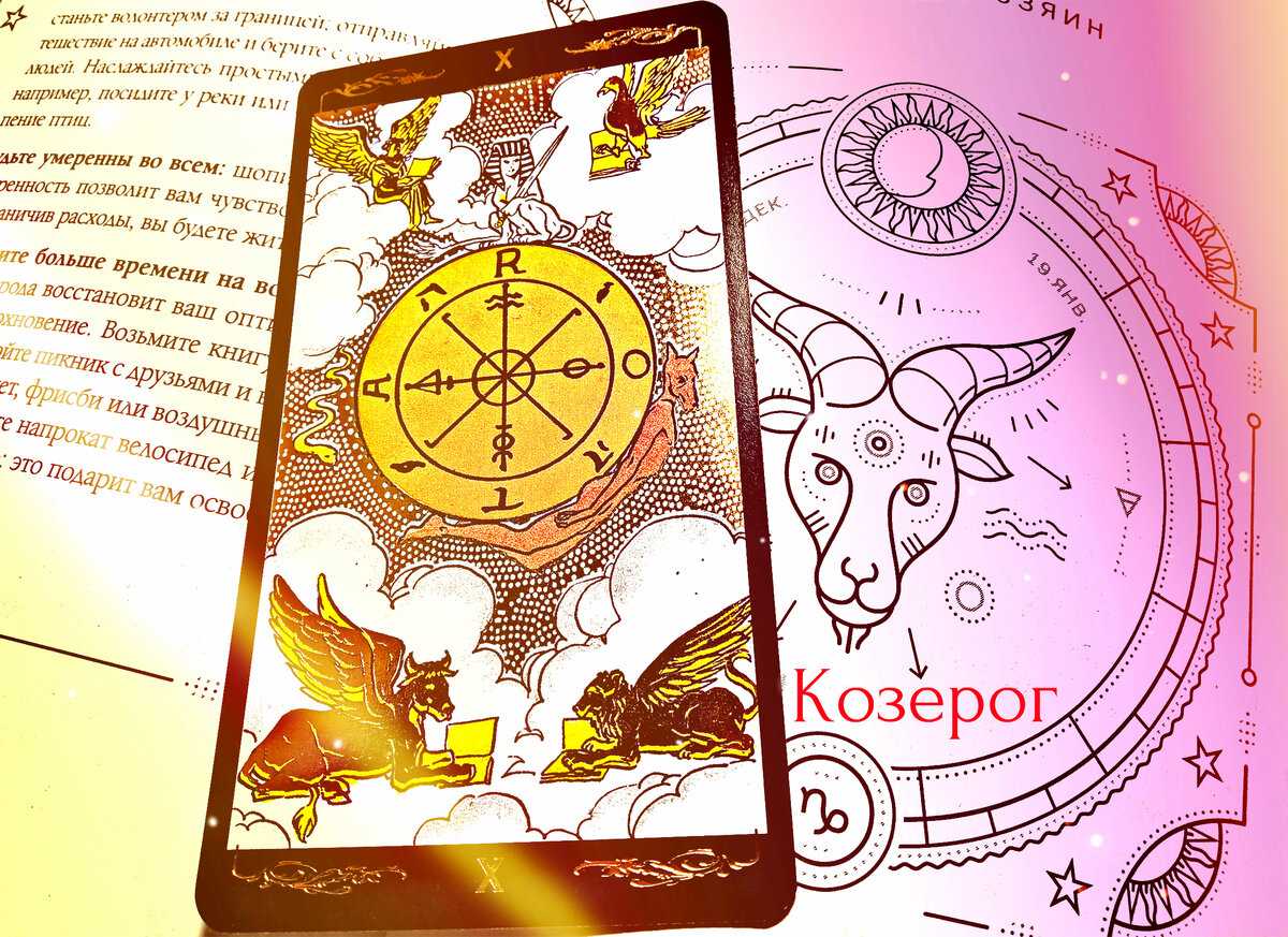 Колесо, фортуна, призовое колесо, приз, удача, игра, вращение, двенадцать, деления, слоты, png