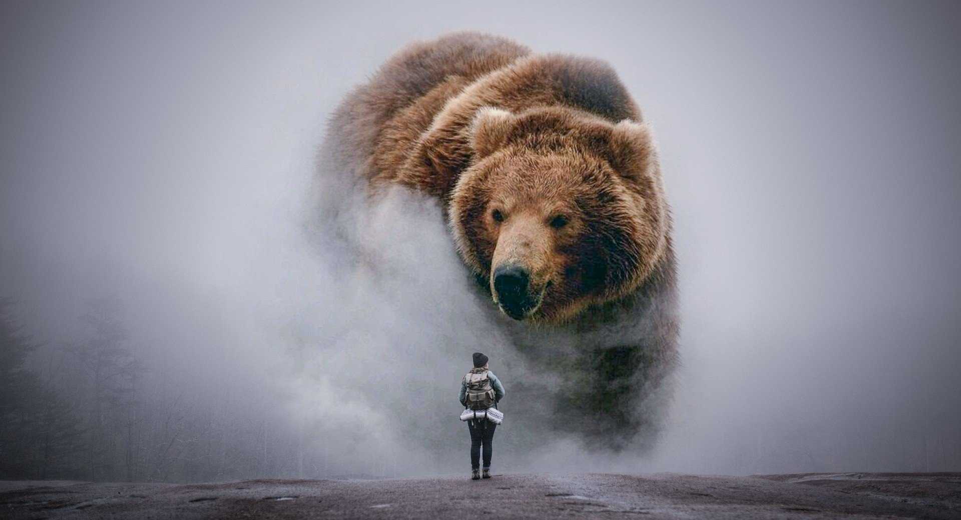 Русский медведь арт – медведь: изображения, стоковые фотографии и векторная графика