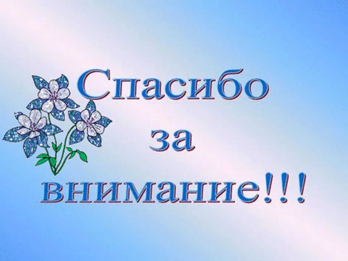 Шуточные грамоты: почетные, похвальные, прикольные, смешные, для награждения сотрудников, на свадьбу, юбилей, день рождения, шаблоны дипломов с текстом + фото - женская жизньженская жизнь