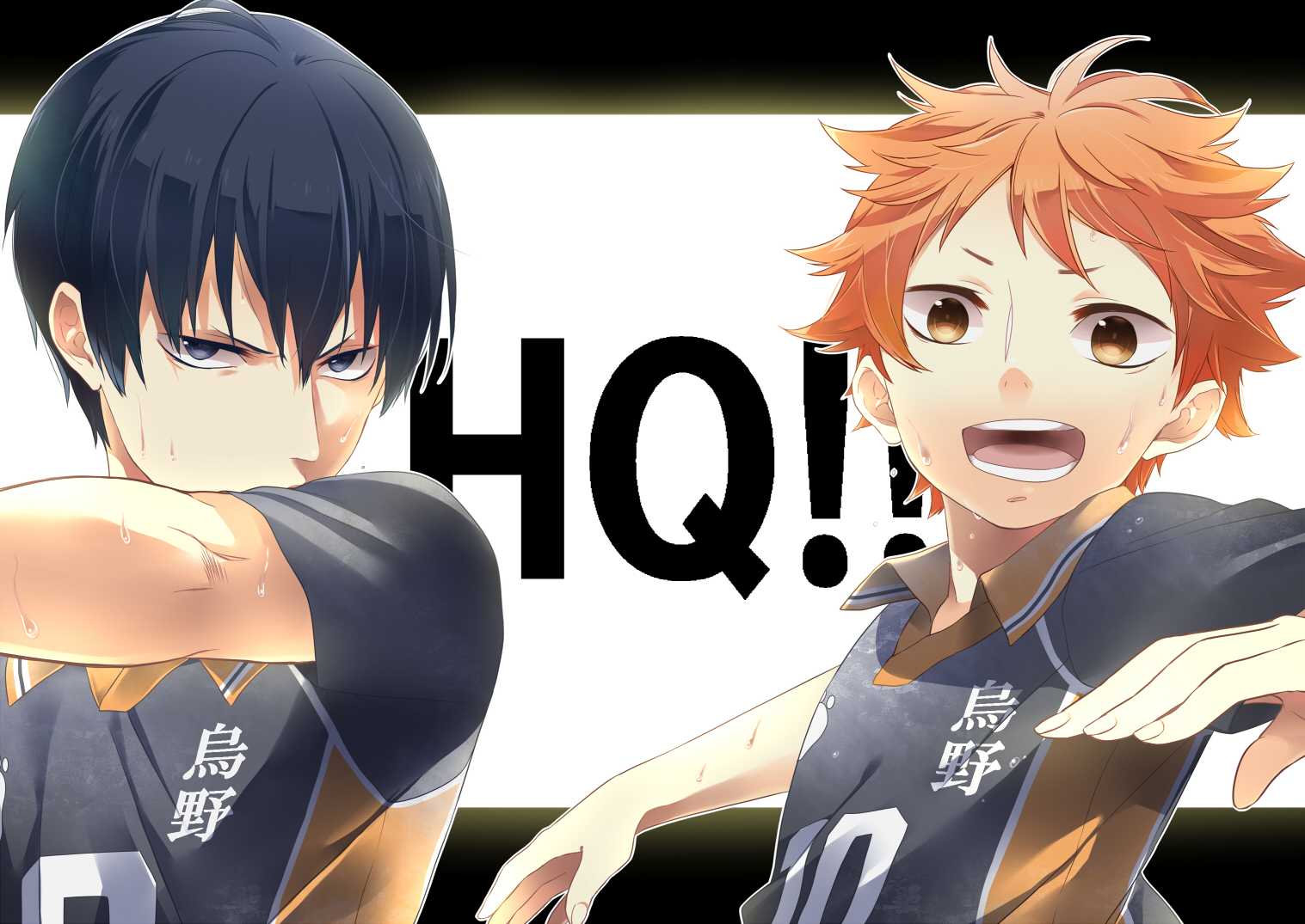 Шоё хината | haikyuu!! вики | fandom