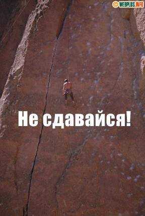 Фоны и обои для рабочего стола. картинки для заставки на телефон » страница 660