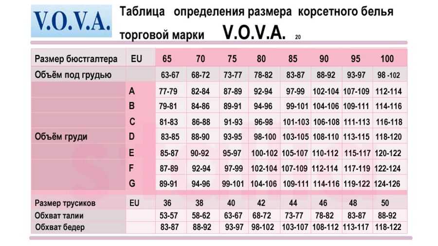 Названия всех 12 видов женских трусиков с фото и описанием