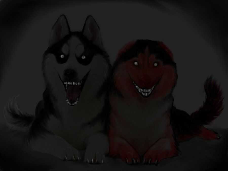 Smile.jpg