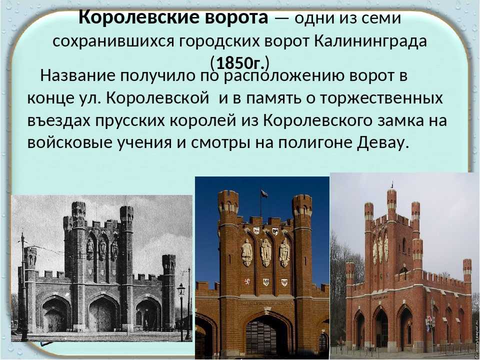 Фотографии города калининграда: фото достопримечательностей